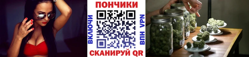 Канабис MAZAR  Купить закладки  Шадринск 